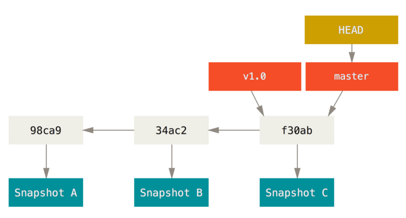 A branch and its commit history