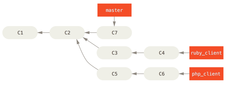 History with several topic branches