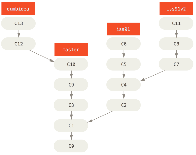 Multiple topic branches